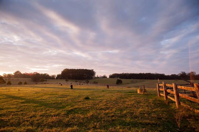 Acres of Grace