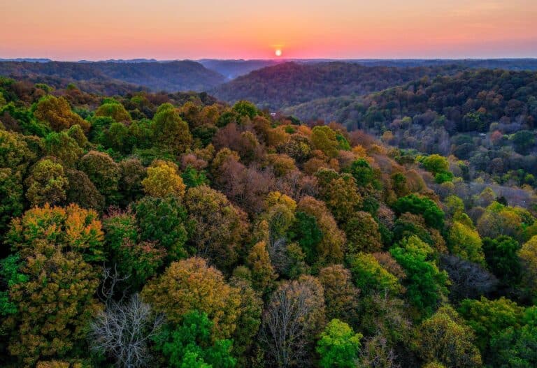Peddlers Ridge